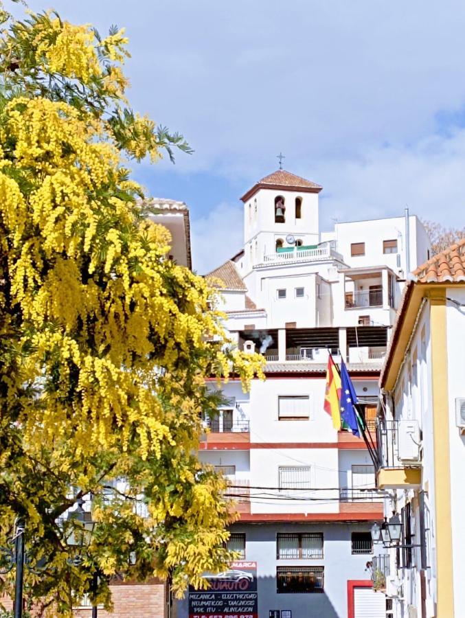 El Almendro De Maruja Apartment Torviscon Ngoại thất bức ảnh