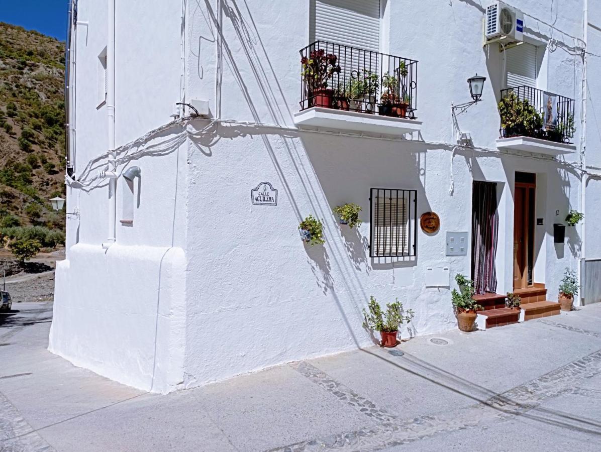 El Almendro De Maruja Apartment Torviscon Ngoại thất bức ảnh